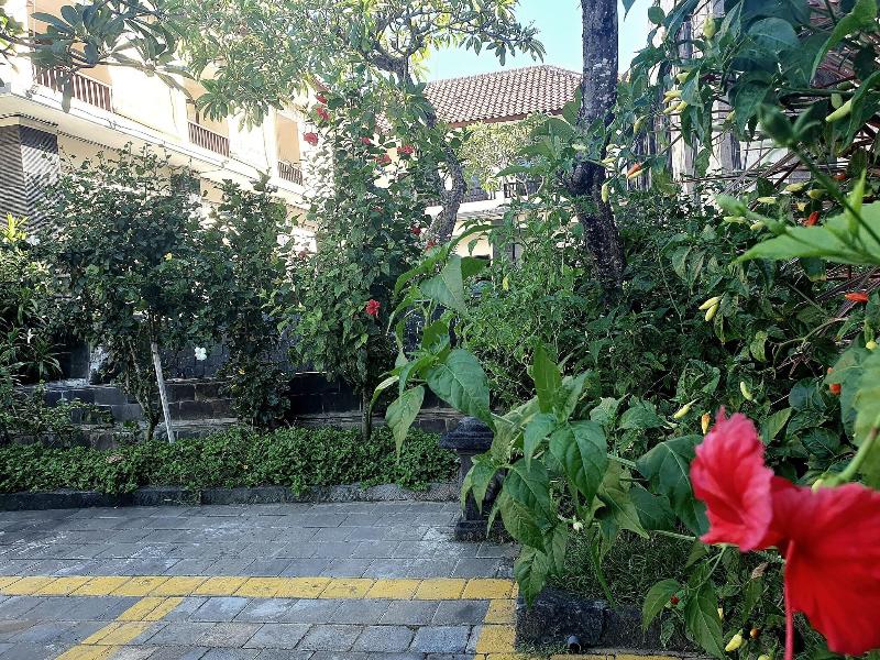 Radha Bali Hotel - Teras