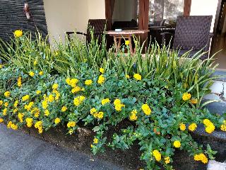 Radha Bali Hotel fotoÄŸrafÄ±