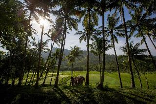 The Lombok Lodge fotoÄŸrafÄ±