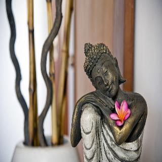Sahaja  Sawah Villa Retreat fotoÄŸrafÄ±