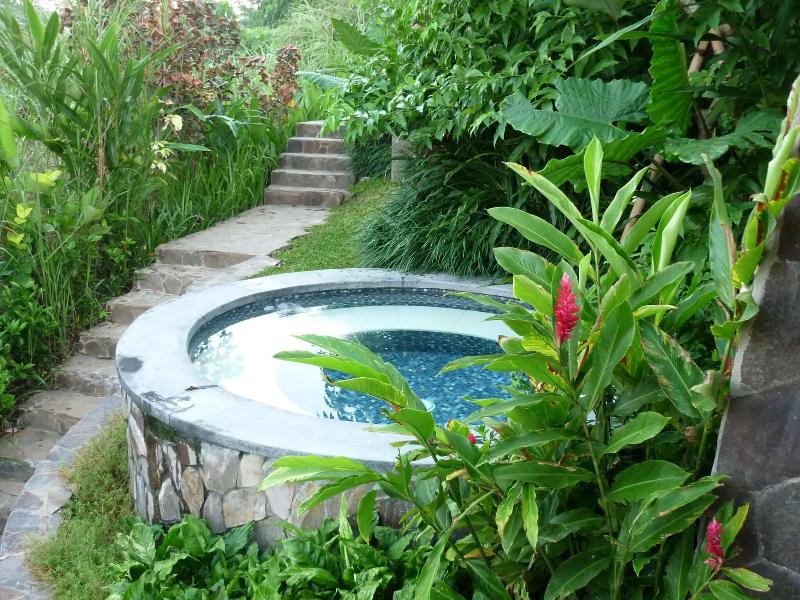 Amori Villa - Havuz