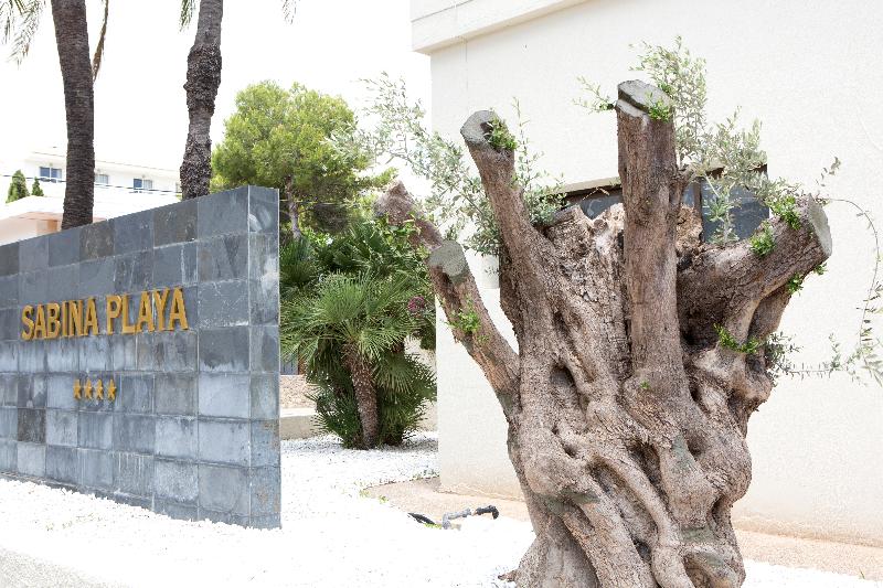 Hotel Sabina Playa - Genel