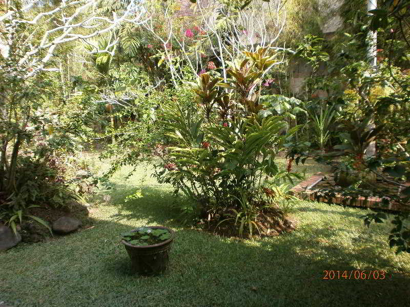Ubud Inn Resort fotoÄŸrafÄ±