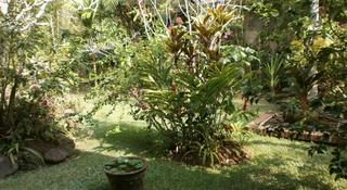 Ubud Inn Resort fotoÄŸrafÄ±
