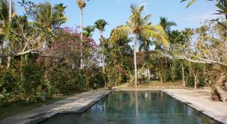 Ubud Inn Resort fotoÄŸrafÄ±