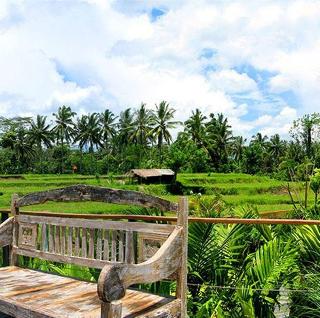 Ayurvedagram Bali fotoÄŸrafÄ±