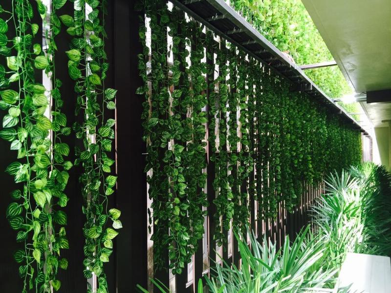 Jj Residence - Genel
