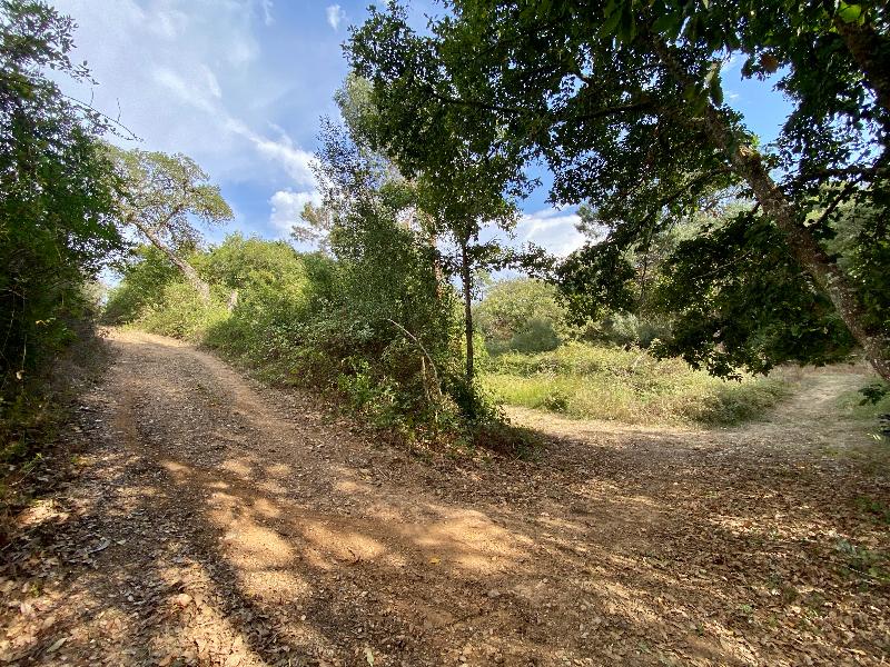 Monte do Zambujeiro - Genel