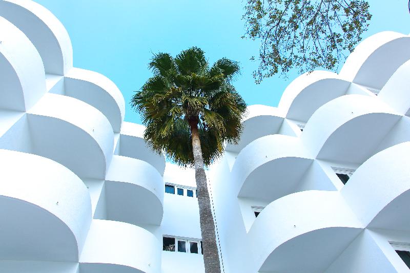 Sentido Fido Tucan - Adults Only - Genel