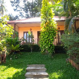 Paradise Bungalows fotoÄŸrafÄ±