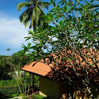 Paradise Bungalows fotoÄŸrafÄ±