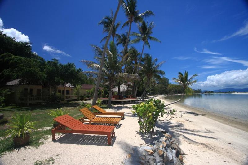 Beck's Resort - Genel