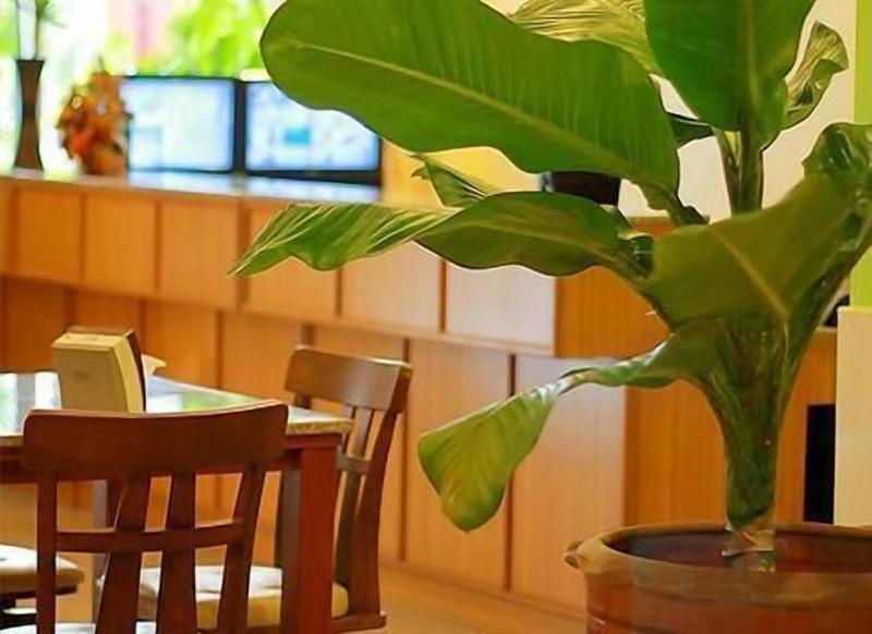 Cozy Villa Hotel - Restoran