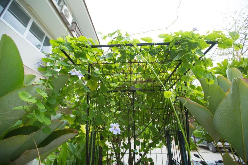 The Opium Serviced Apartment And Hotel - Genel