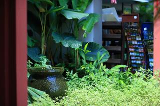 The Opium Serviced Apartment And Hotel fotoÄŸrafÄ±