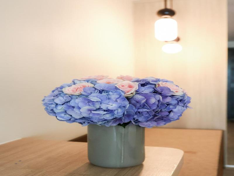 Alpine Golf Resort - Genel