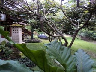 Alam Jogja Resort RedPartner fotoÄŸrafÄ±