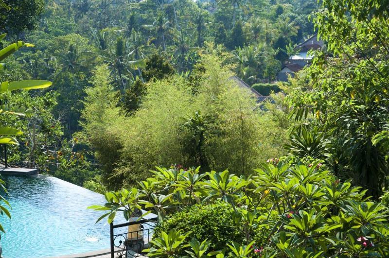 Ubud Dedari Villas - Genel