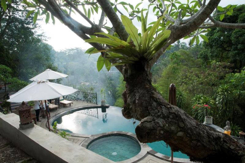 Ubud Dedari Villas - Genel