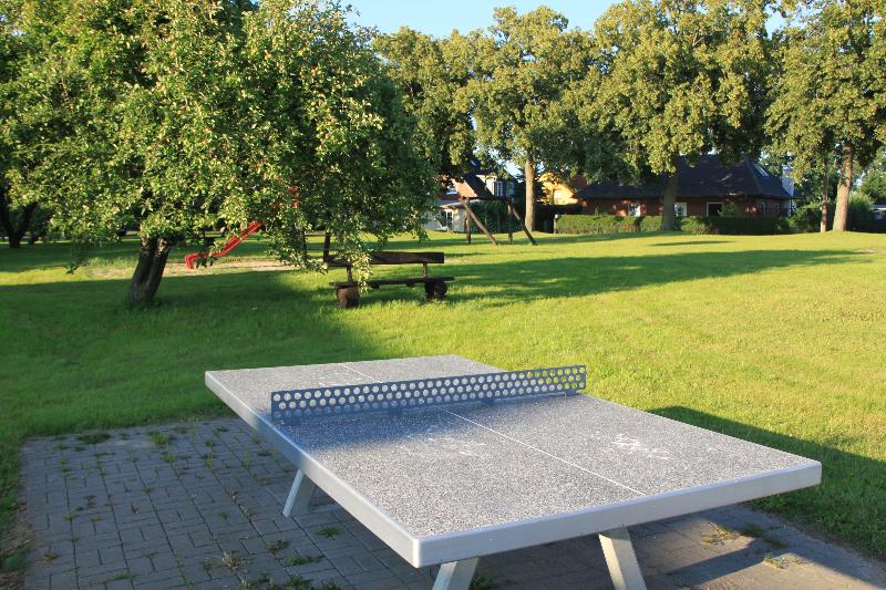 Land Gut Hotel Hermann - Aktivite