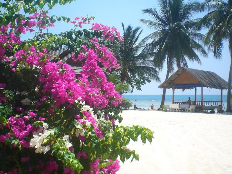 Seaboard Bungalows - Genel