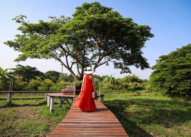 The Cavalli Casa Resort - Genel