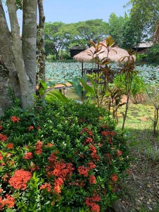 Baan Chai Thung Resort by ZUZU fotoÄŸrafÄ±