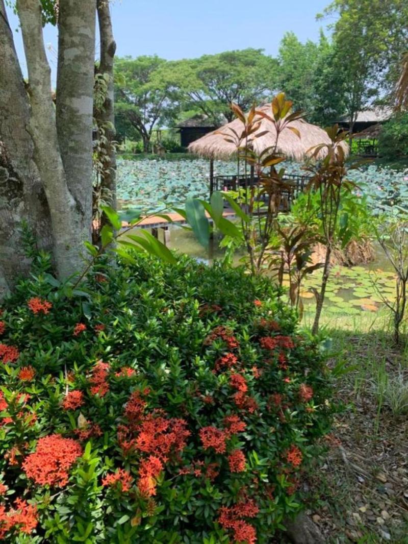 Baan Chai Thung Resort by ZUZU - Genel