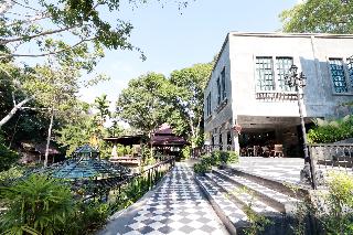 Capital O 464 At Nata Chiangmai Chic Jungle fotoÄŸrafÄ±