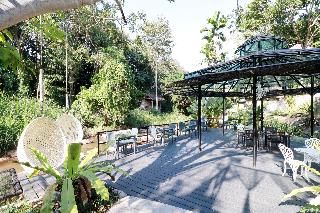 Capital O 464 At Nata Chiangmai Chic Jungle fotoÄŸrafÄ±