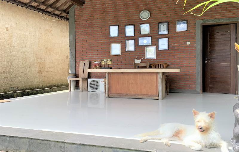 Bagiya Suites & Villas by Zuzu - Lobi
