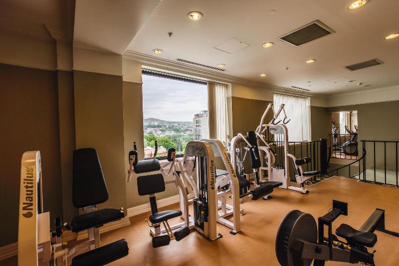 Marriott Hotel Tbilisi - Aktivite