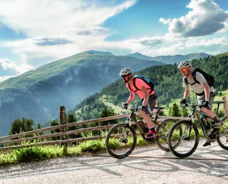 Hôtel de la Forêt - Aktivite