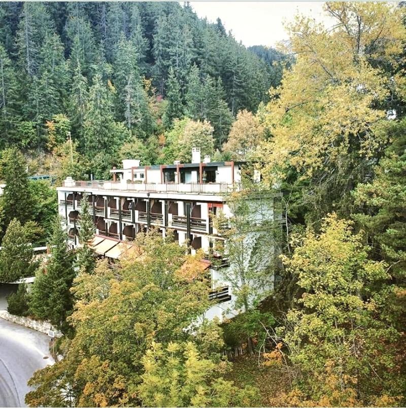 Hôtel de la Forêt - Genel