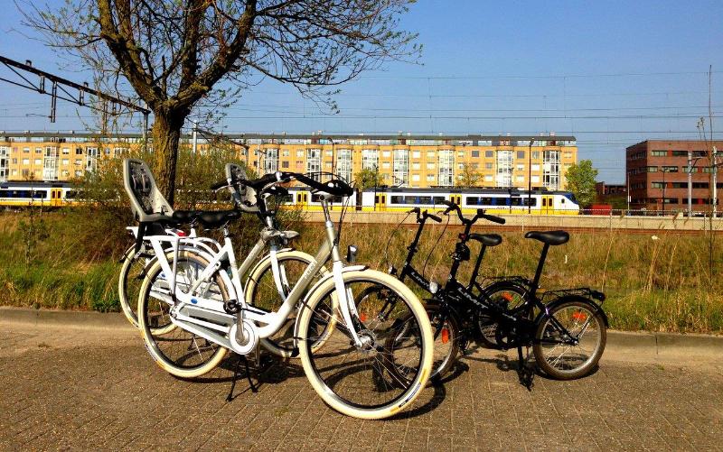 Best Western Zaan Inn - Aktivite