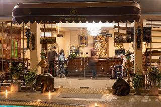 At Chiang Mai fotoÄŸrafÄ±