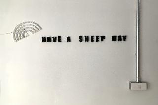 Sleep Sheep Phuket Hostel SHA by ZUZU fotoÄŸrafÄ±