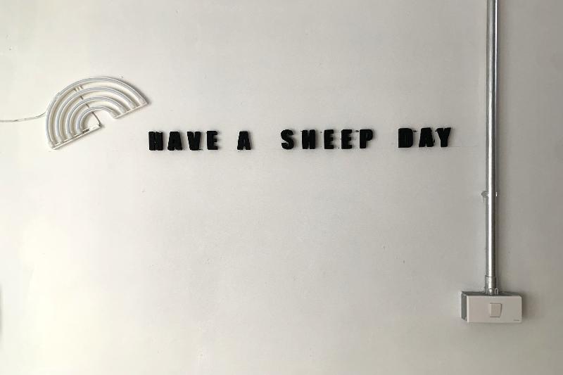 Sleep Sheep Phuket Hostel SHA by ZUZU - Genel
