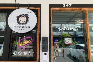 Sleep Sheep Phuket Hostel SHA by ZUZU otel fotoğrafı
