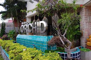 Khon Kaen Orchid fotoÄŸrafÄ±