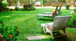 Banyan House Samui Bed and Breakfast Adults Only fotoÄŸrafÄ±