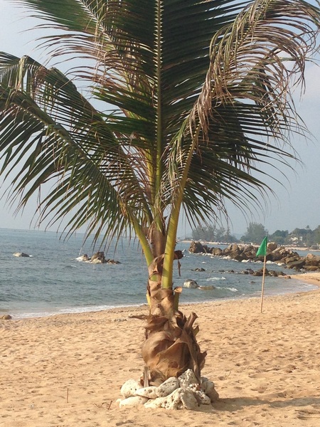 Banyan House Samui Bed and Breakfast Adults Only - Plaj
