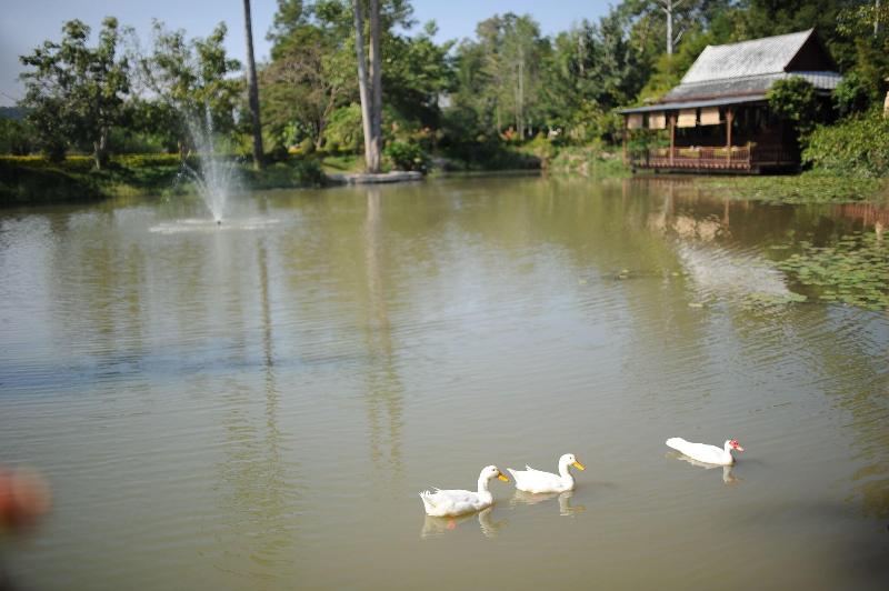 Vana Varin Resort Hua Hin - Genel