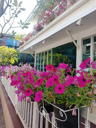 Paradise Hotel Udon Thani fotoÄŸrafÄ±