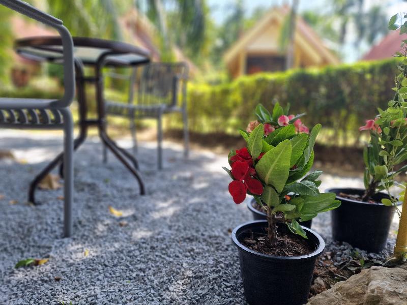 Rim Khao Jungle Resort Koh Lanta - Genel