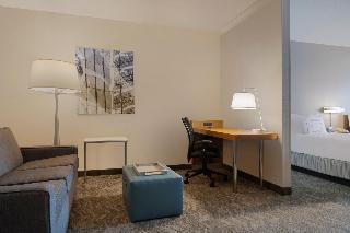 SpringHill Suites Newark Liberty Int. Airpt. fotoÄŸrafÄ±