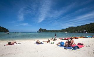 Phi Phi Twin Palms Bungalow fotoÄŸrafÄ±