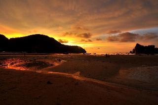 Phi Phi Twin Palms Bungalow fotoÄŸrafÄ±