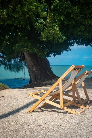 Phangan Beach Resort otel fotoğrafı