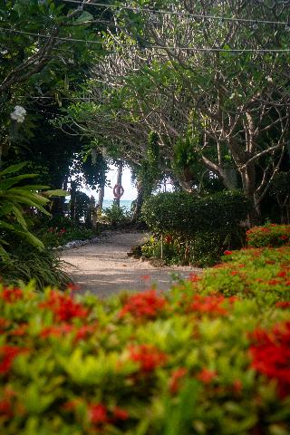 Phangan Beach Resort fotoÄŸrafÄ±